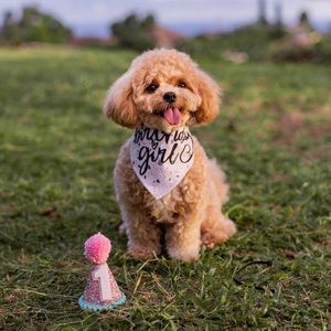 Meet your Posher, Jocelyn